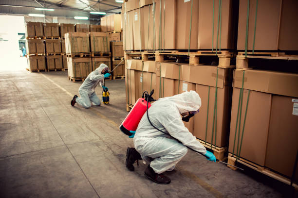 Best Local Pest Control Services  in Oakdale, CA