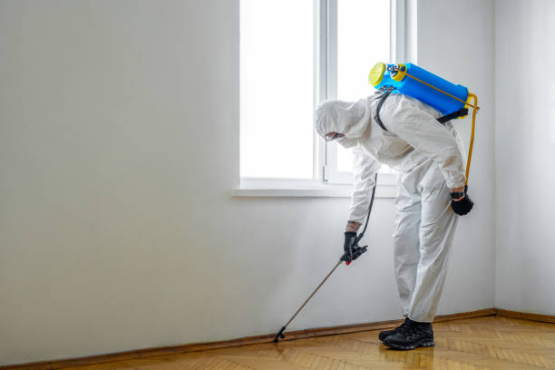 Best Termite Control Services  in Oakdale, CA