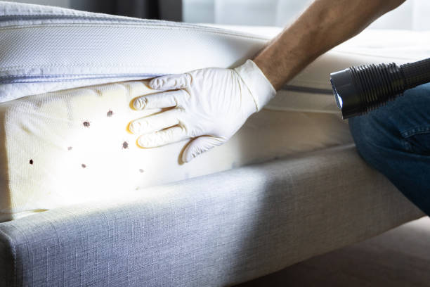 Best Pest Control Near Me  in Oakdale, CA