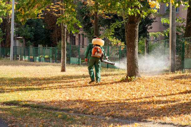 Insect Control in Oakdale, CA