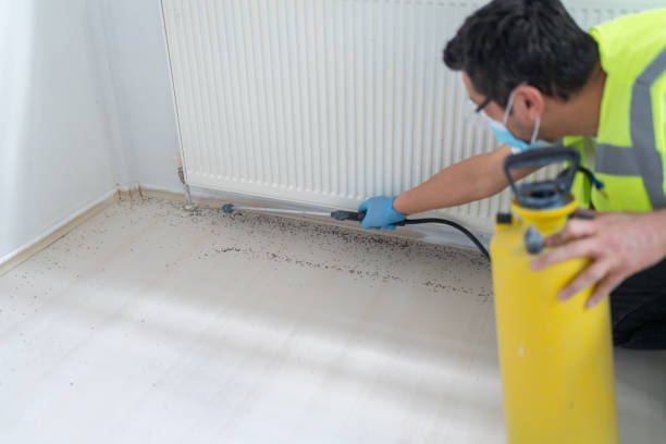 Best Ant Control Services  in Oakdale, CA