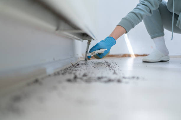 Best Insect Control  in Oakdale, CA