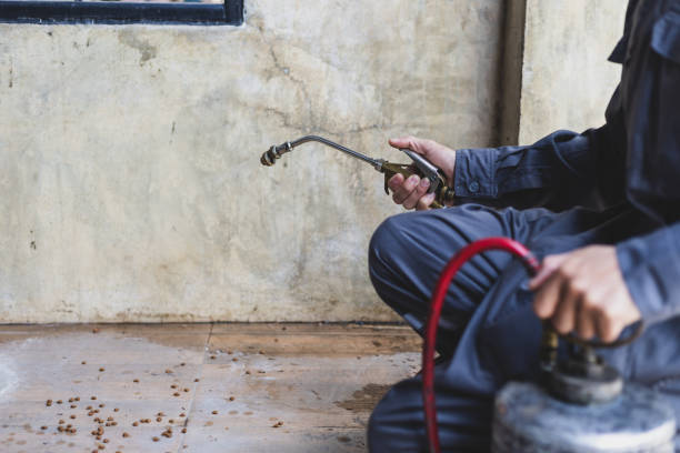 Best Mosquito Control Services  in Oakdale, CA